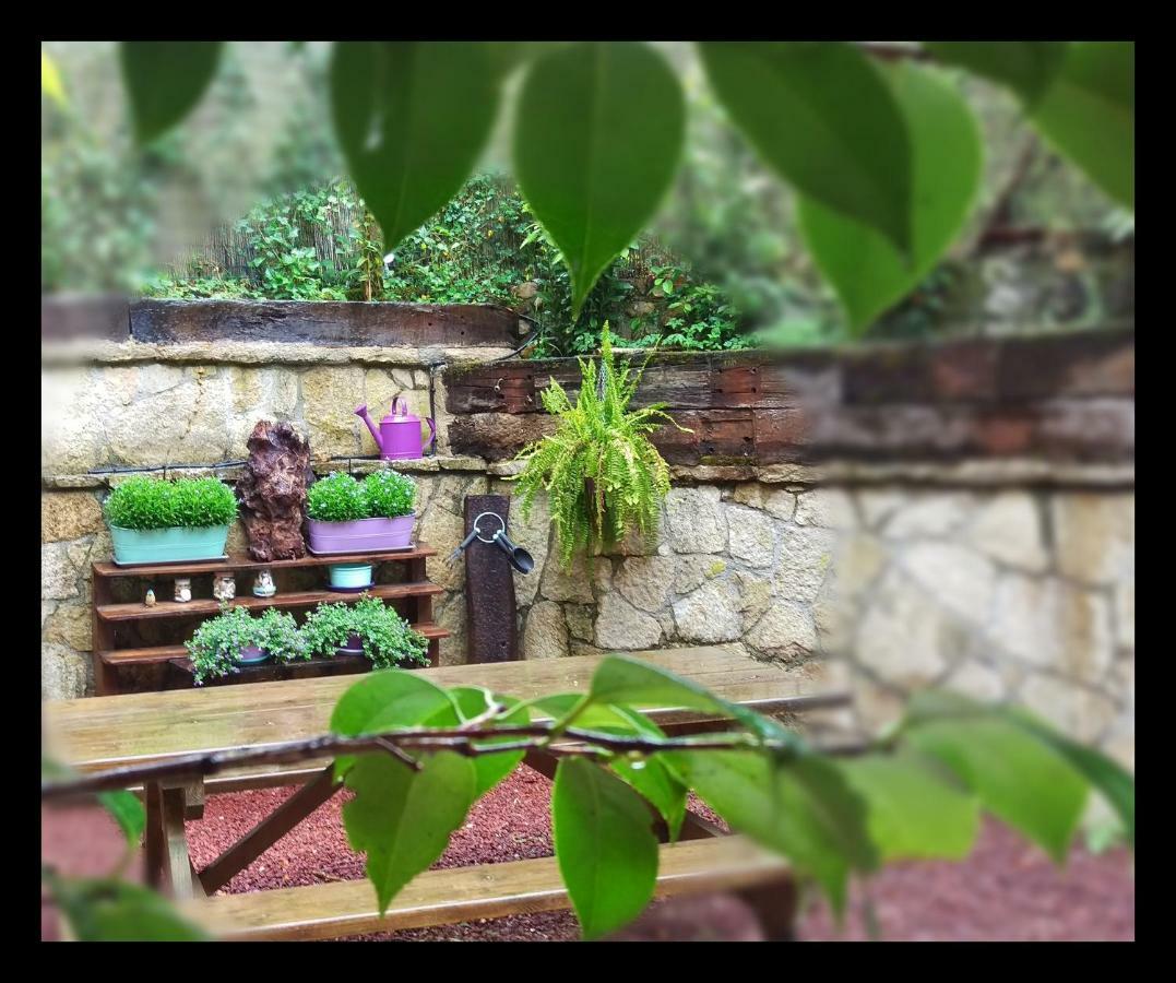 Ferienhaus Rio Aliso *